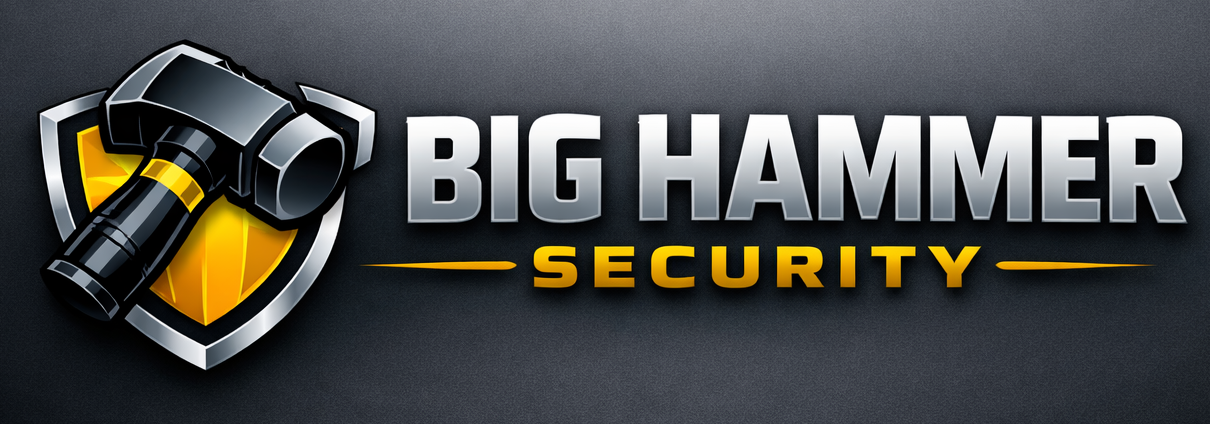 Professional Security Solutions for Every Property